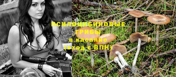 Альфа ПВП Алексин