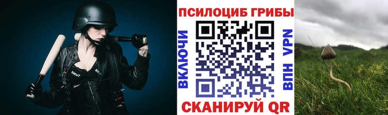 где купить наркотик  нарко площадка официальный сайт  Псилоцибиновые грибы MAGIC MUSHROOMS  Курлово 